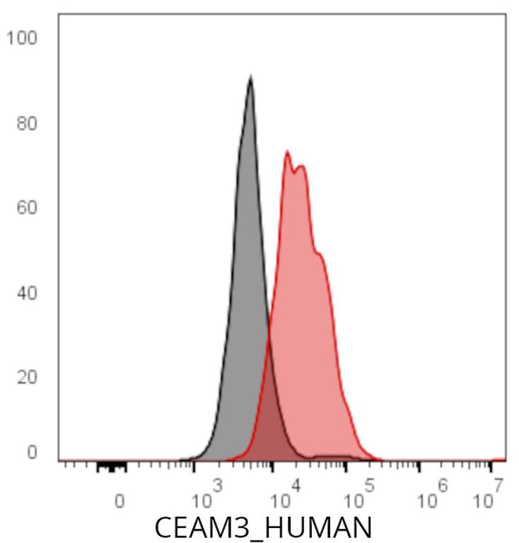 Ankyron CEAM3_HUMAN Clone CY40670