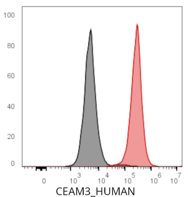 Ankyron CEAM3_HUMAN Clone DS40677