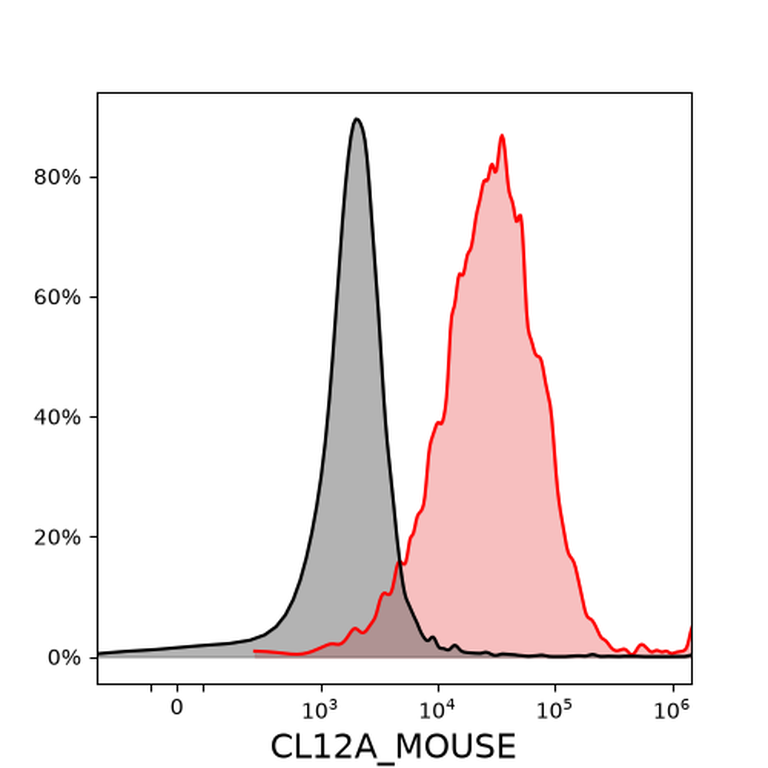 Ankyron CL12A_MOUSE Clone FE40762