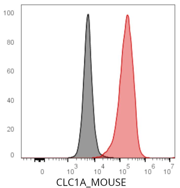 Ankyron CLC1A_MOUSE Clone AS40171