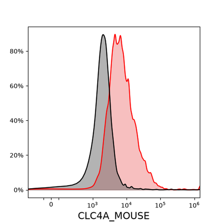 Ankyron CLC4A_MOUSE Clone FM40246