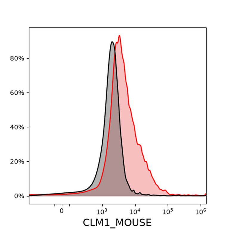 Ankyron CLM1_MOUSE Clone FD40101