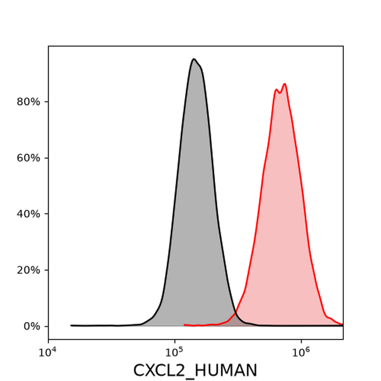 Ankyron CXCL2_HUMAN Clone CB30564