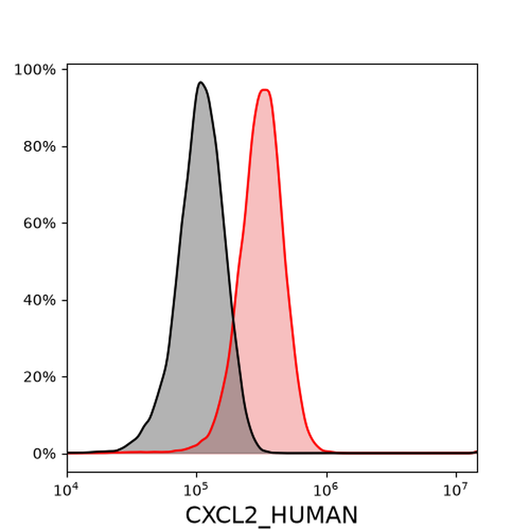 Ankyron CXCL2_HUMAN Clone CB30576