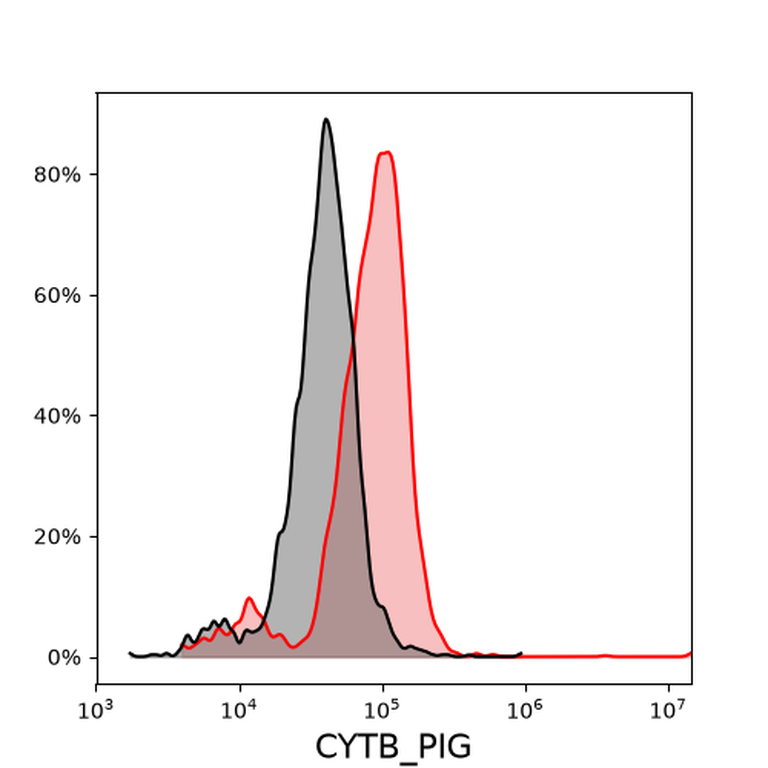 Ankyron CYTB_PIG Clone FA40770