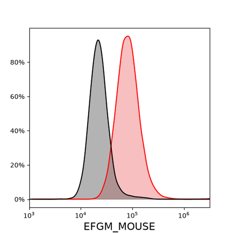 Ankyron EFGM_MOUSE Clone FV40535