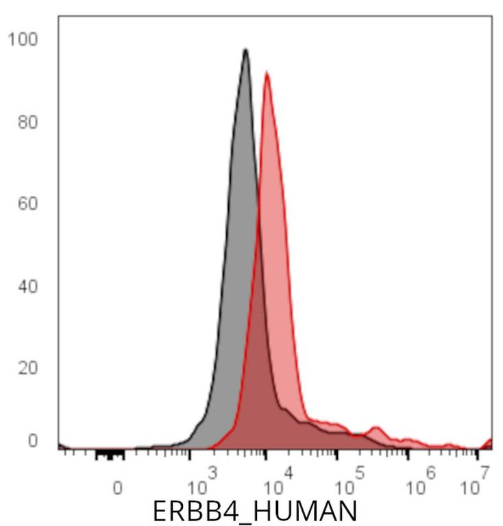 Ankyron ERBB4_HUMAN Clone AE50202