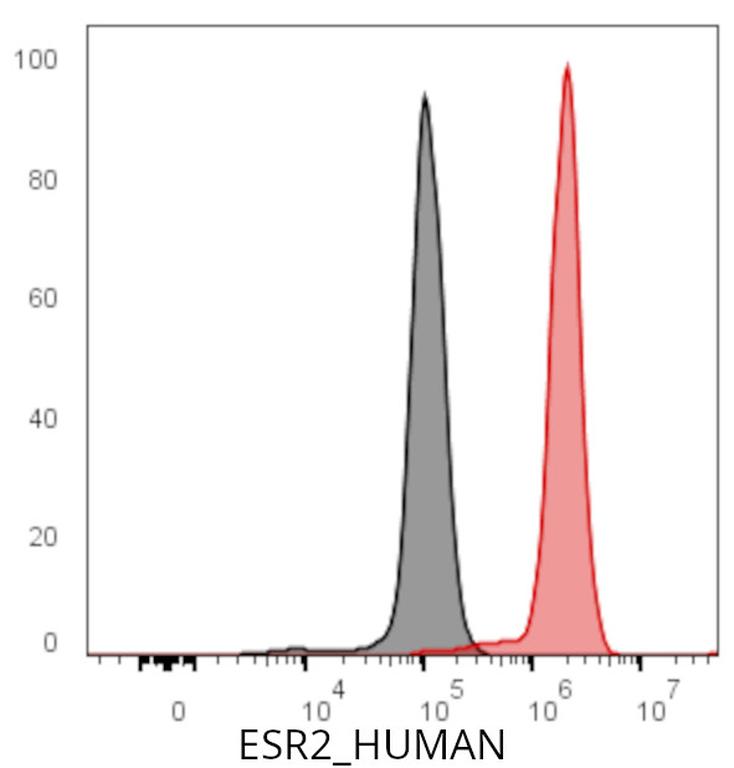 Ankyron ESR2_HUMAN Clone CQ40362