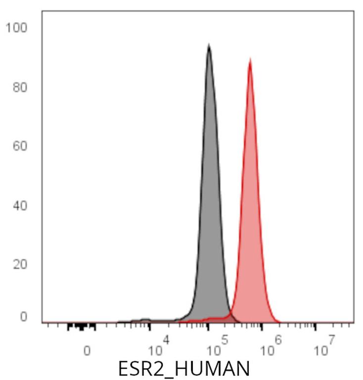 Ankyron ESR2_HUMAN Clone CQ40363