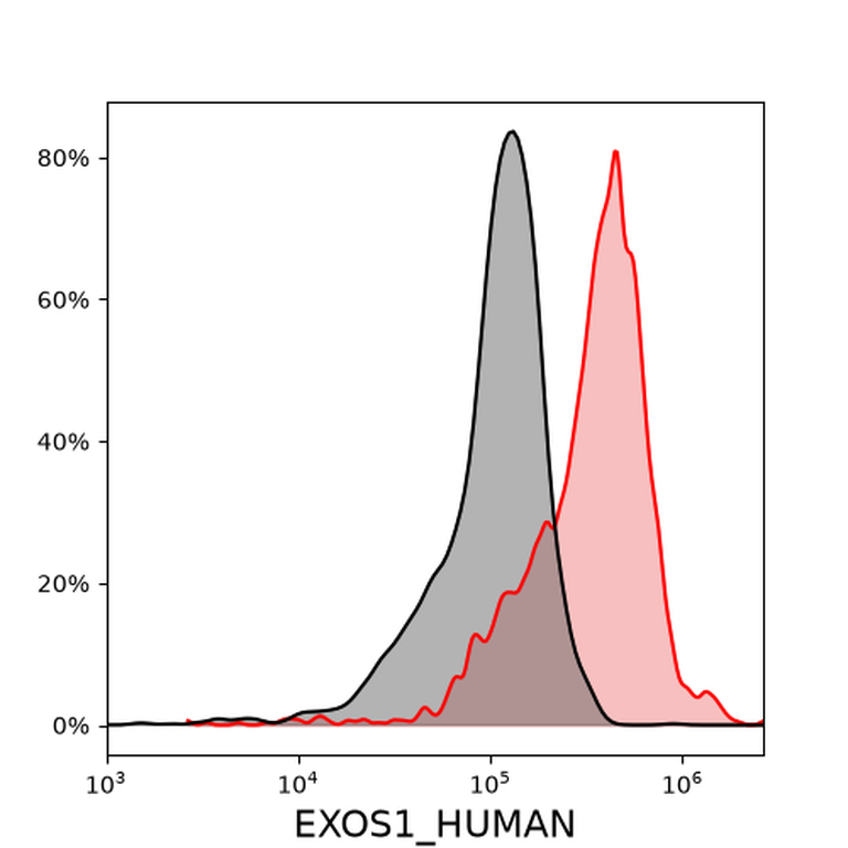 Ankyron EXOS1_HUMAN Clone FR40630