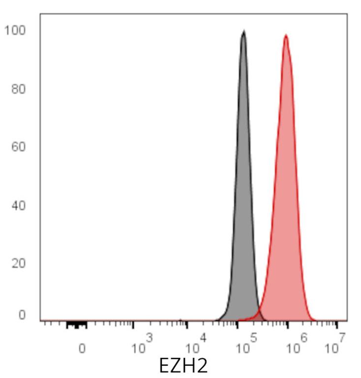 Ankyron EZH2_HUMAN Clone BT40129