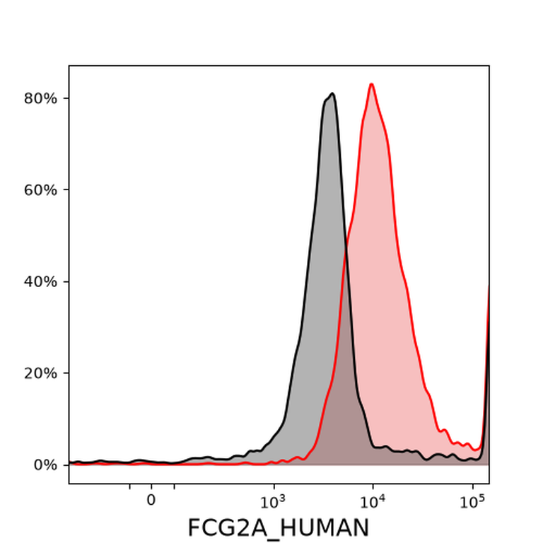 Ankyron FCG2A_HUMAN Clone AC40233