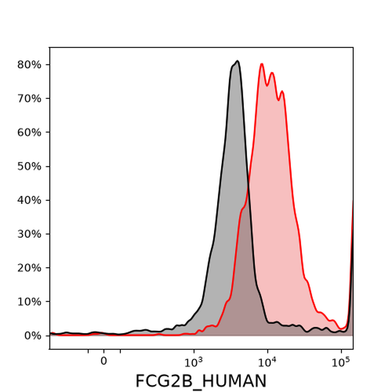 Ankyron FCG2B_HUMAN Clone AD40138