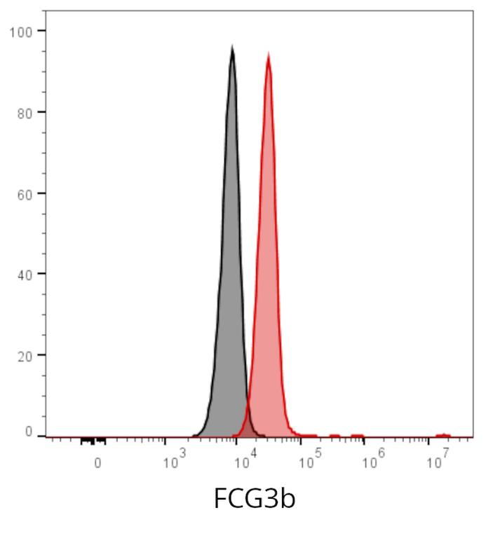Ankyron FCG3B_HUMAN Clone AZ40413