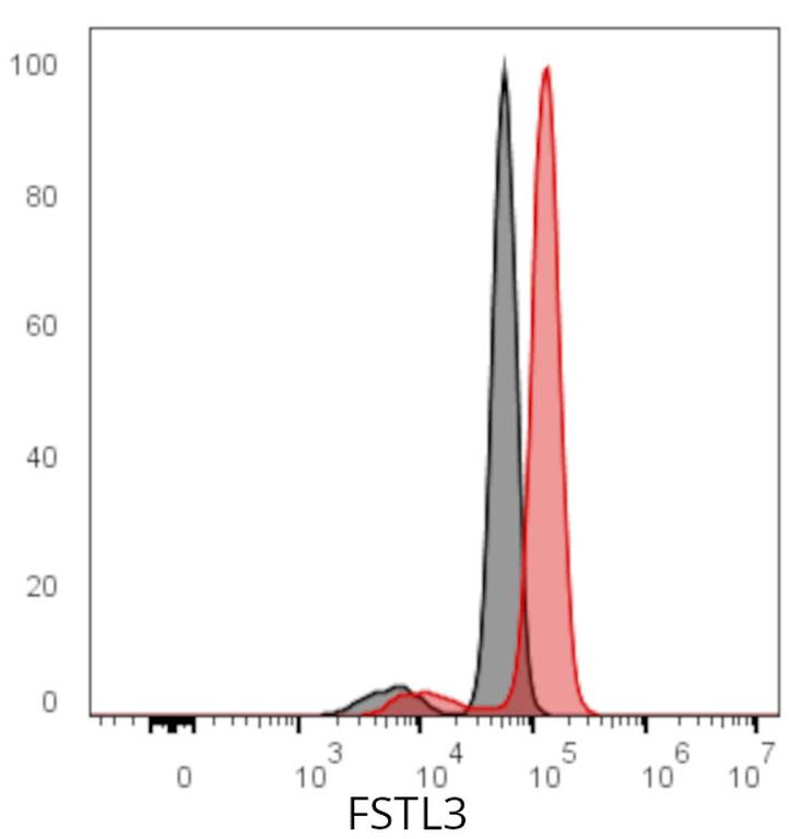 Ankyron FSTL3_MOUSE Clone AU40572