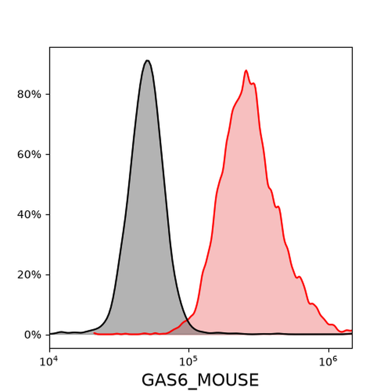 Ankyron GAS6_MOUSE Clone DB40654