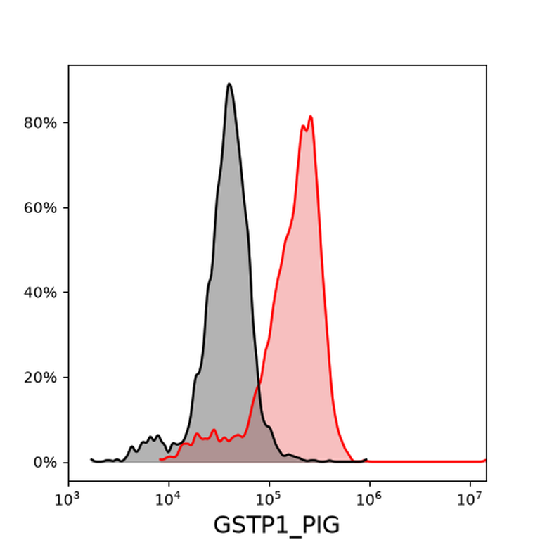 Ankyron GSTP1_PIG Clone FA40674