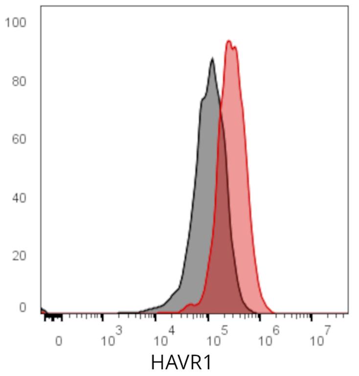 Ankyron HAVR1_MOUSE Clone AT40104