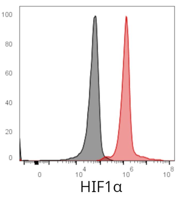 Ankyron HIF1A_HUMAN Clone AG40135