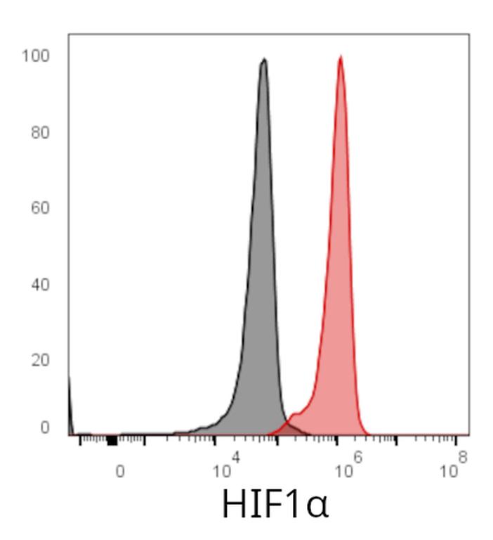 Ankyron HIF1A_HUMAN Clone AG40139