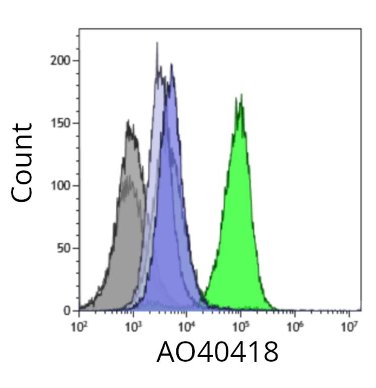 Ankyron HLA_A0201_FLLTRILTI Clone AO40418