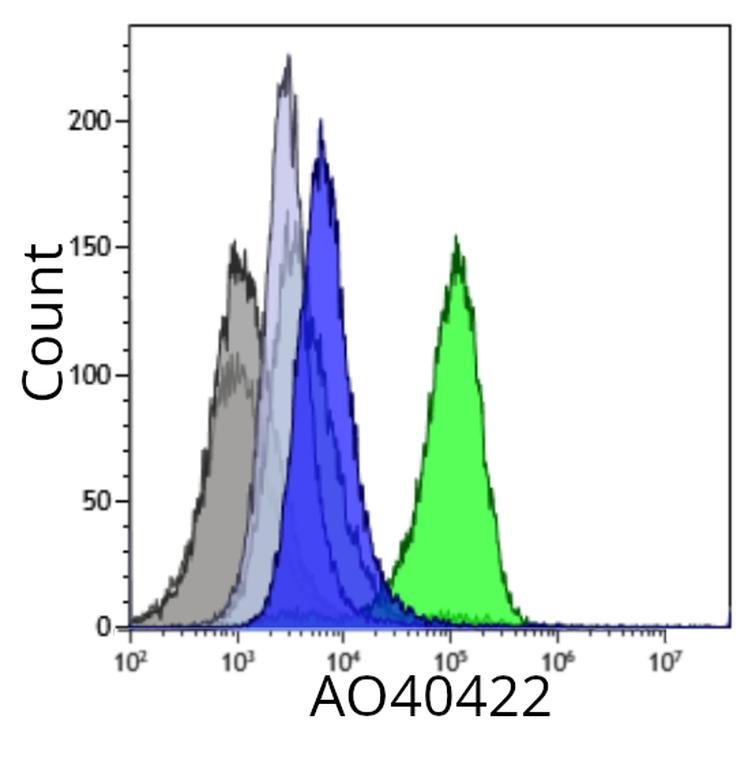 Ankyron HLA_A0201_FLLTRILTI Clone AO40422