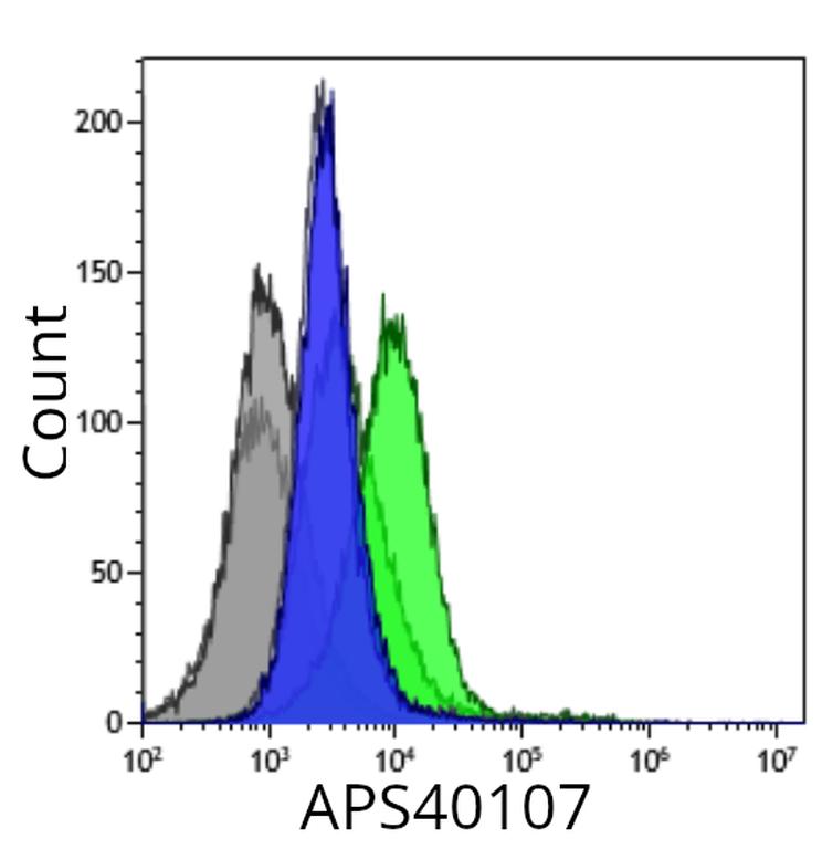 Ankyron HLA_A0201_FLPSDFFPSV Clone APS40107