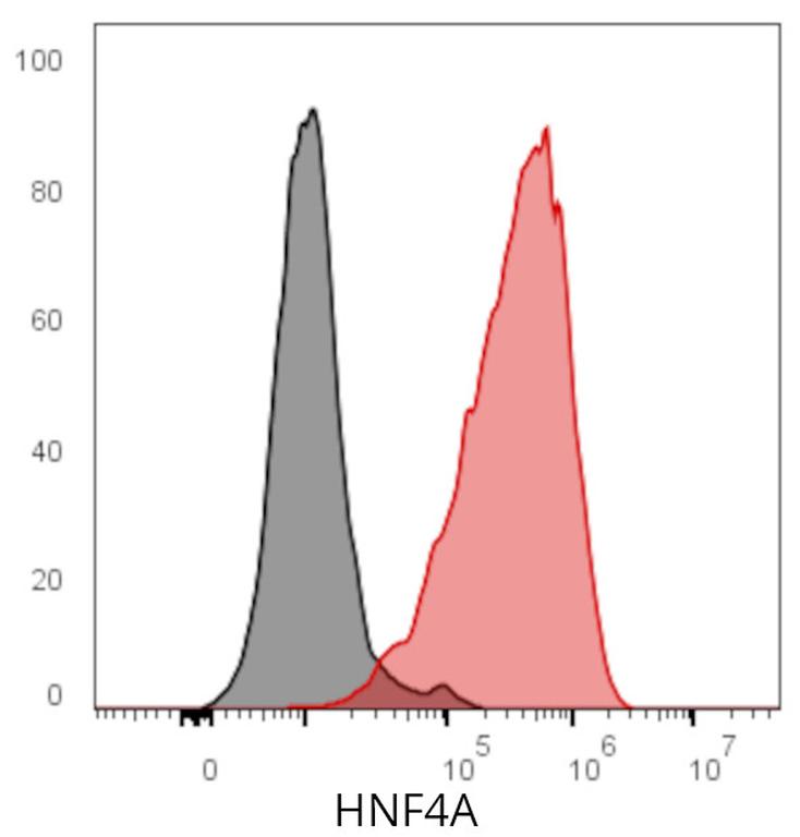 Ankyron HNF4A_HUMAN Clone DV40448