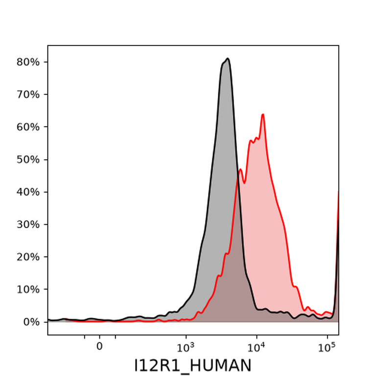 Ankyron I12R1_HUMAN Clone AF40219