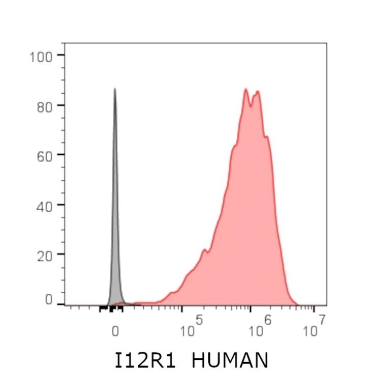 Ankyron I12R1_HUMAN Clone AF40221