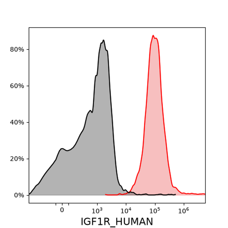 Ankyron IGF1R_HUMAN Clone BZ30509