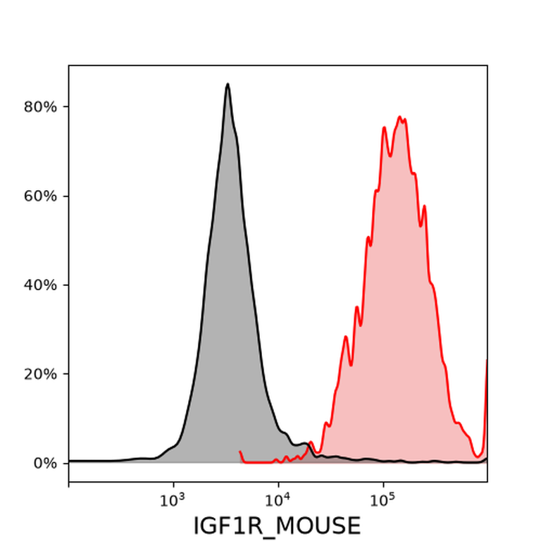 Ankyron IGF1R_MOUSE Clone BS41202
