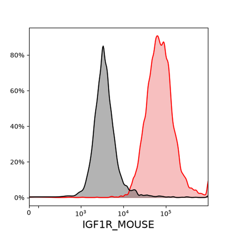 Ankyron IGF1R_MOUSE Clone BS41211