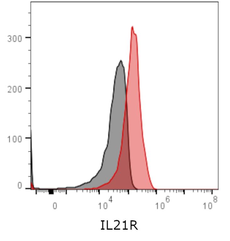 Ankyron IL21R_HUMAN Clone DN40942