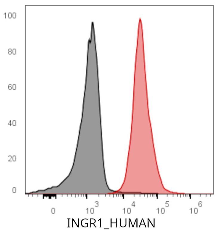 Ankyron INGR1_HUMAN Clone AF40209