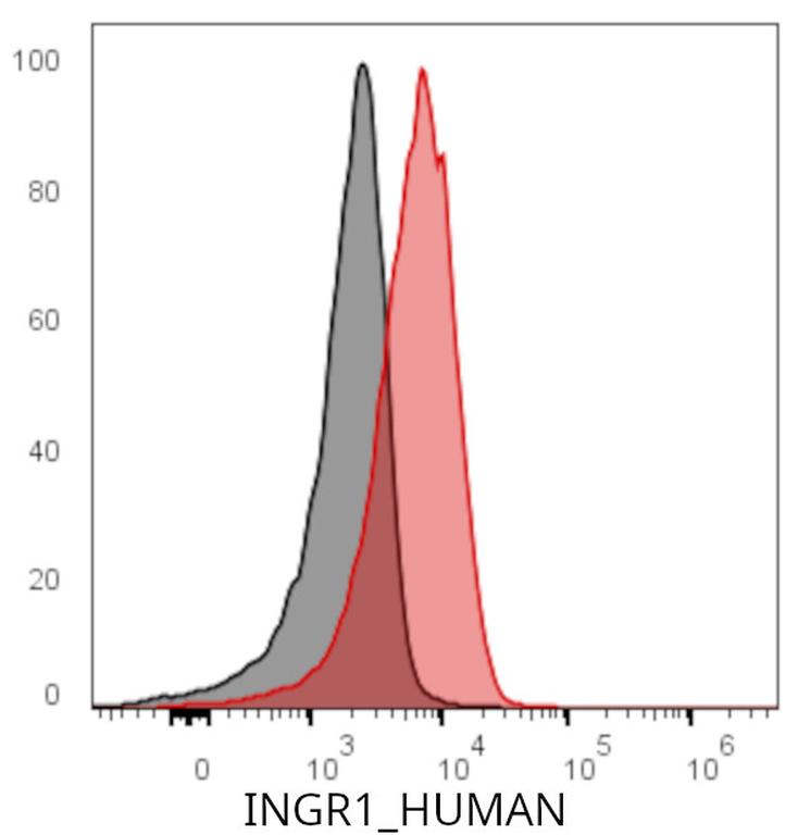 Ankyron INGR1_HUMAN Clone AF40206