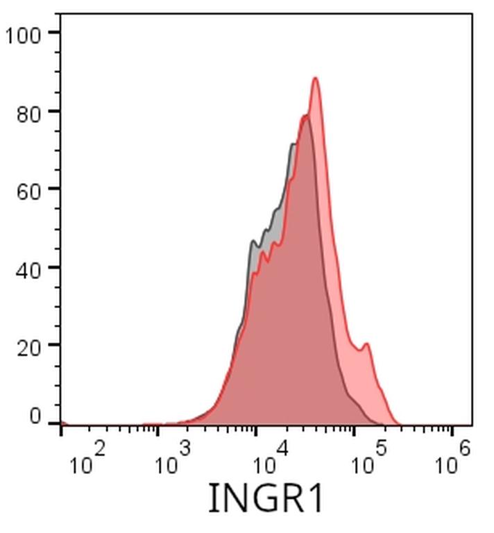 Ankyron INGR1_MOUSE Clone BN30148