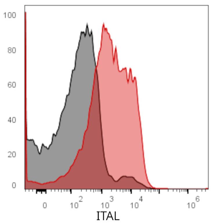 Ankyron ITAL_HUMAN Clone DS40560