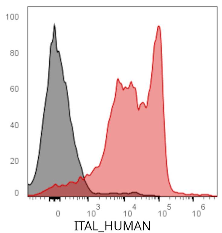 Ankyron ITAL_HUMAN Clone DR40244