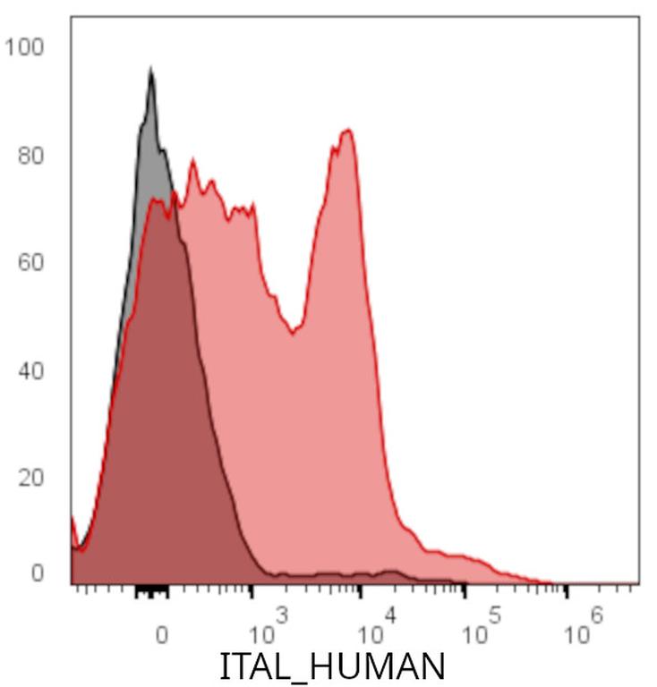 Ankyron ITAL_HUMAN Clone DR40247