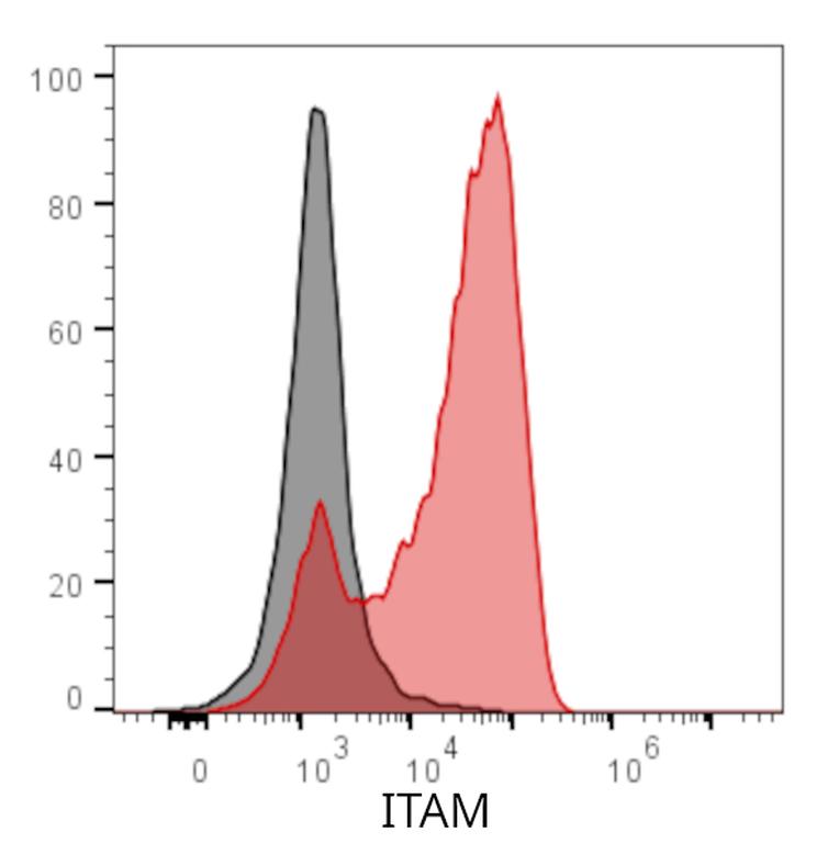 Ankyron ITAM_HUMAN Clone BJ40263