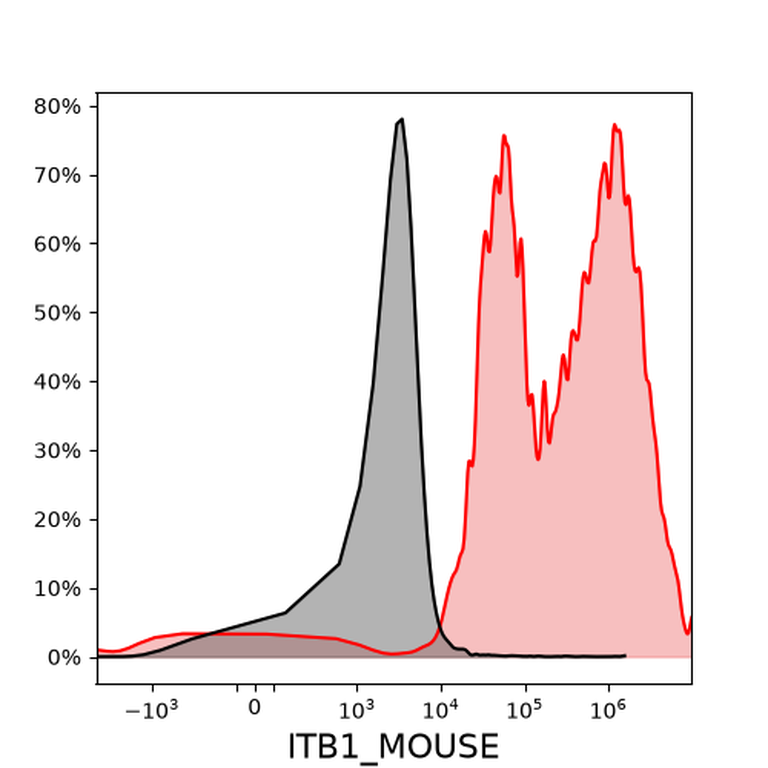 Ankyron ITB1_MOUSE Clone CG30596