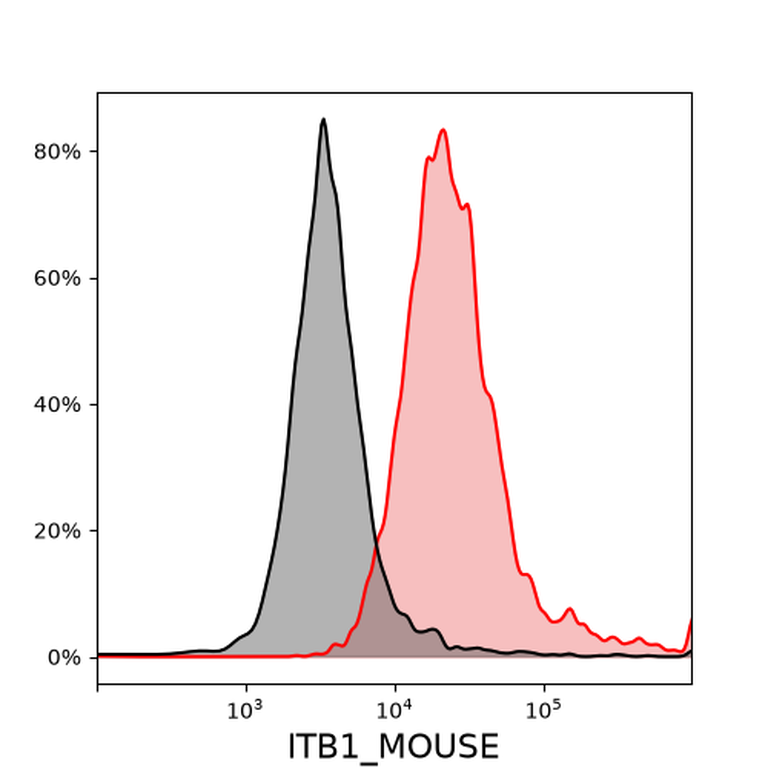 Ankyron ITB1_MOUSE Clone CG30595