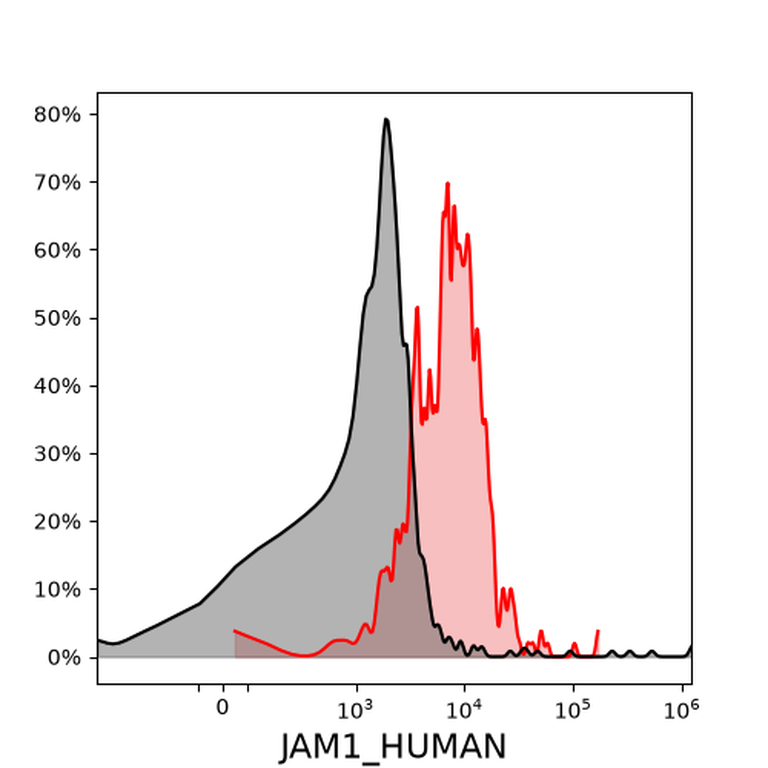 Ankyron JAM1_HUMAN Clone CB30240