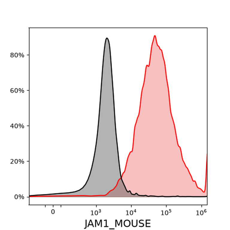 Ankyron JAM1_MOUSE Clone AY40445