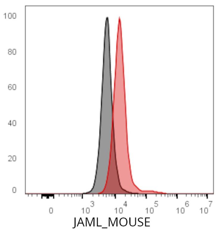 Ankyron JAML_MOUSE Clone CX40547