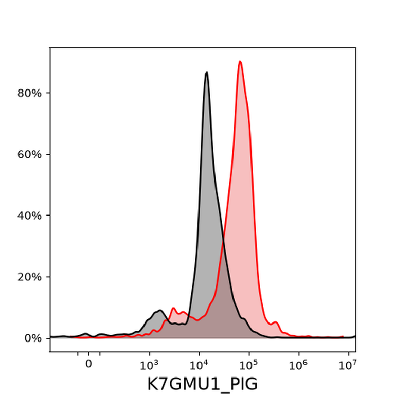 Ankyron K7GMU1_PIG Clone DW40130