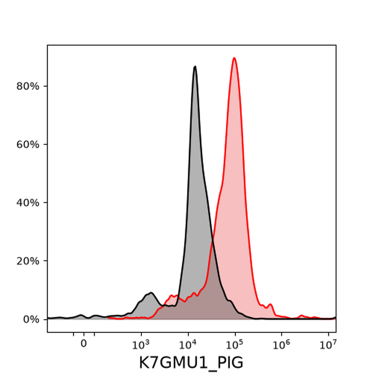 Ankyron K7GMU1_PIG Clone DW40138