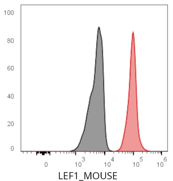 Ankyron LEF1_MOUSE Clone CK30547