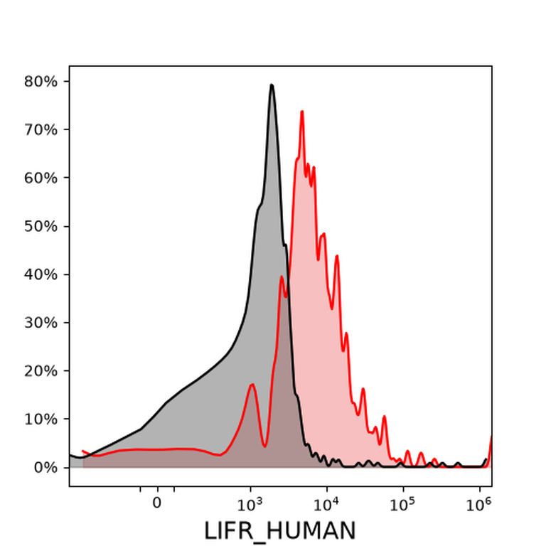 Ankyron LIFR_HUMAN Clone AE40234